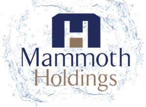 Mammoth Holdings logo